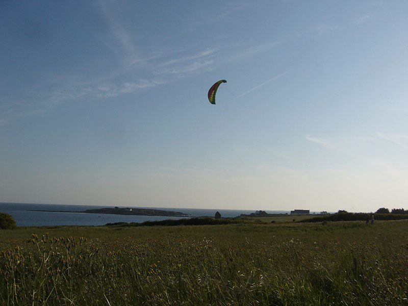 15_P1100004_ptus