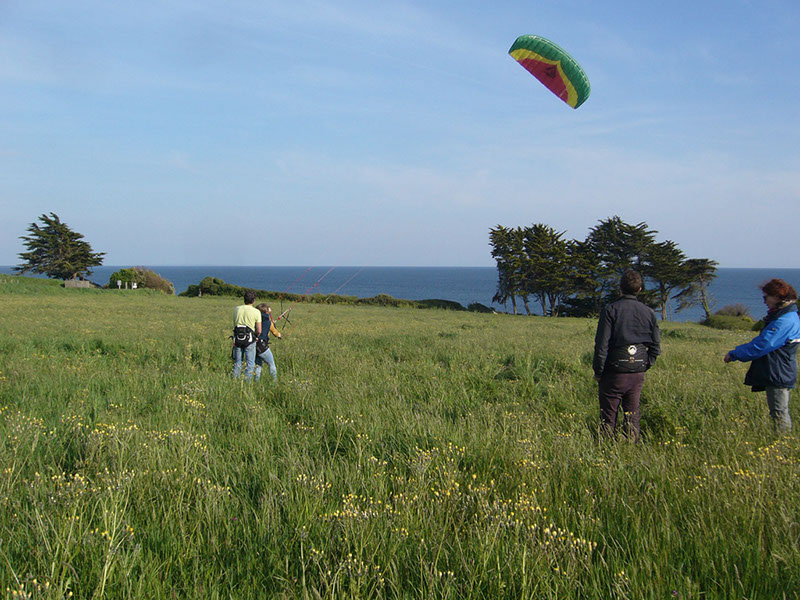 12_P1090993_ptus