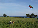 13_P1090995_ptus