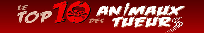 Top 10 des animaux tueurs